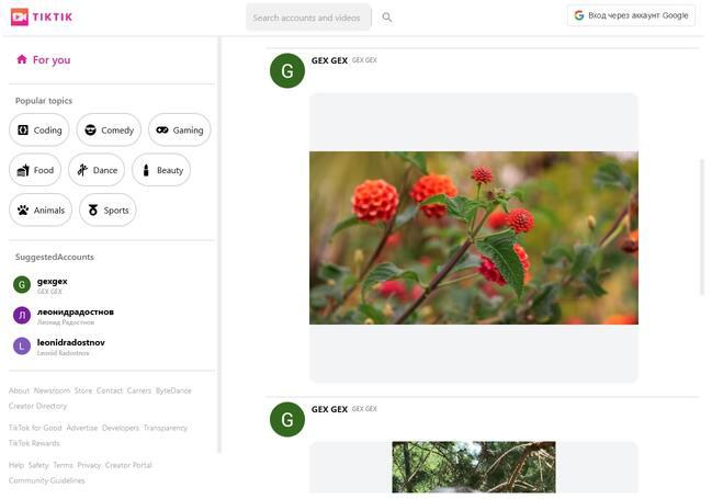 Social network Tiktik cover image